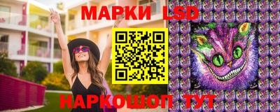 СК Обь