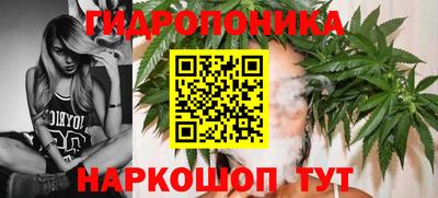 СК Обь