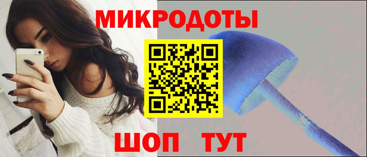 Псилоцибиновые грибы GOLDEN TEACHER  цена наркотик  Сочи  Вход с VPN  Псилоцибиновые грибы Psilocybe 